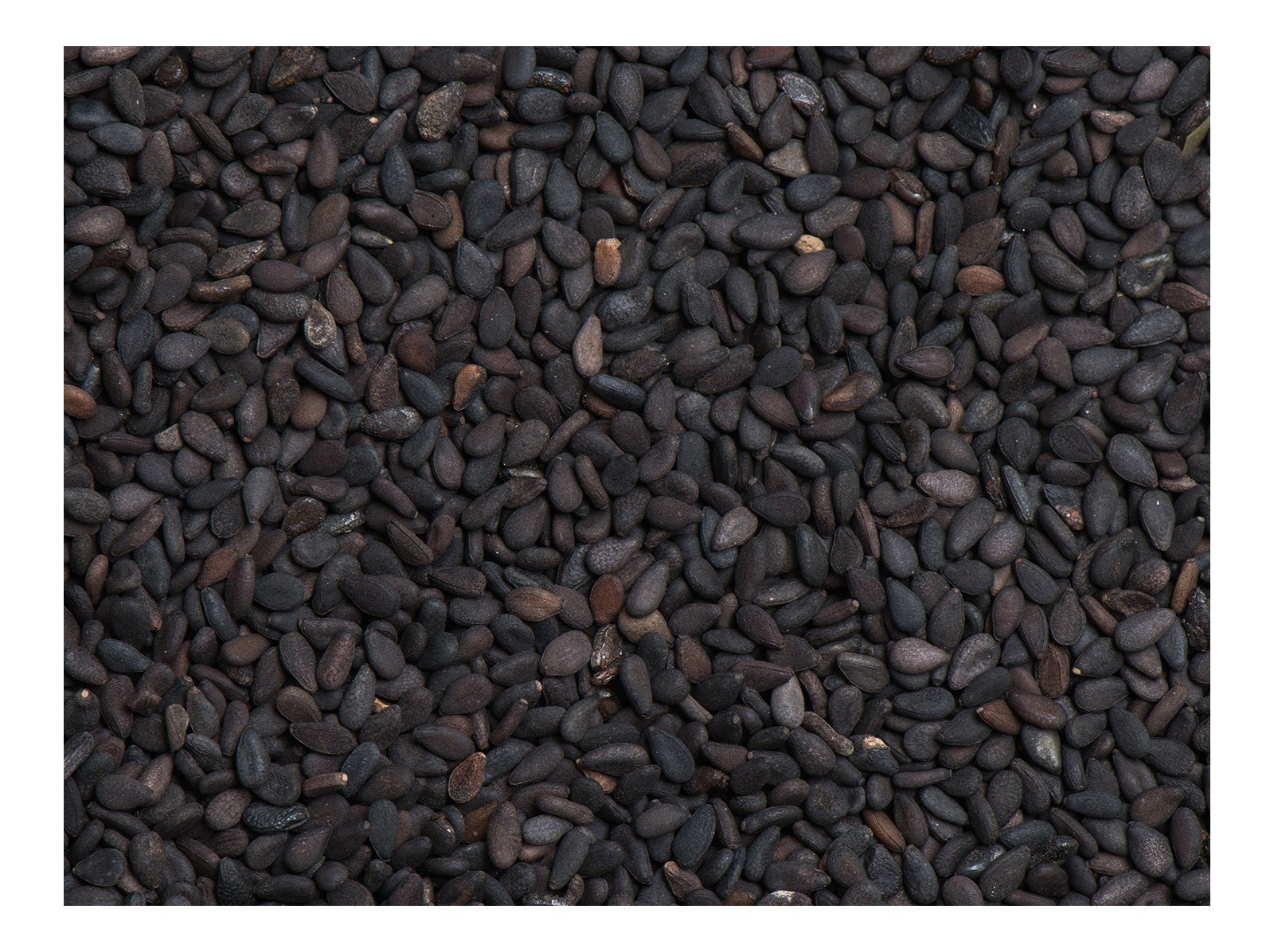 Черные семена похожие. Кунжут черный. Чёрные семечки похожие на кунжут. Кунжут текстура. Семечки на черном фоне.